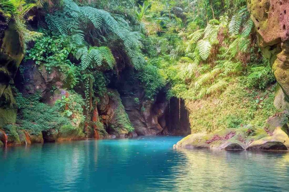 Serene Views